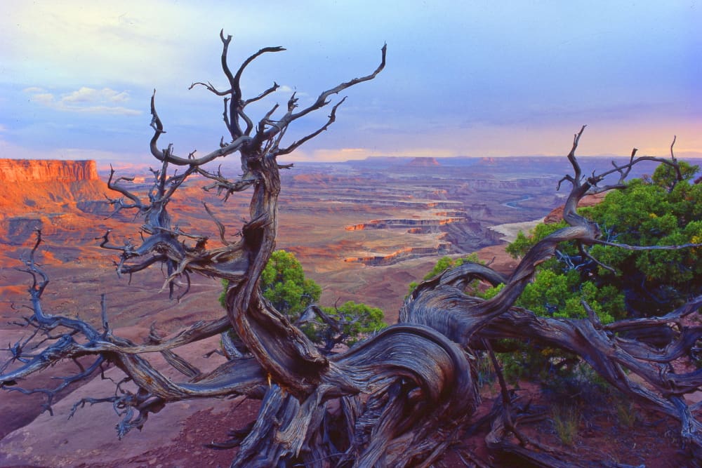 Canyonlands Nat. Park